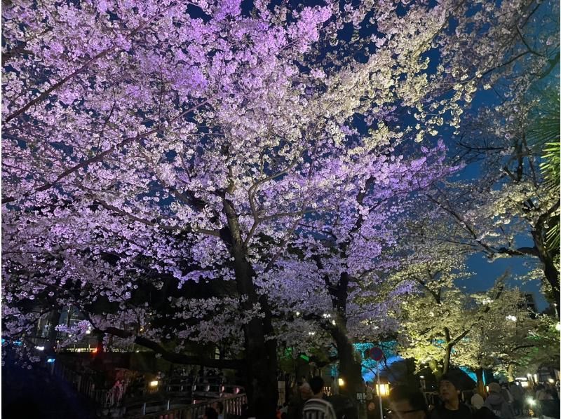 [Tokyo, Oji] Experience sake tasting at a historic sake brewery that is an important cultural property, enjoy cherry blossom viewing in a premium seat, and enjoy a cherry blossom viewing lunch!の紹介画像