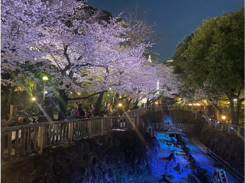 【東京・王子】歴史ある重要文化財の酒蔵で唎酒体験、プレミアムシートで桜鑑賞、お花見弁当付き！の紹介画像