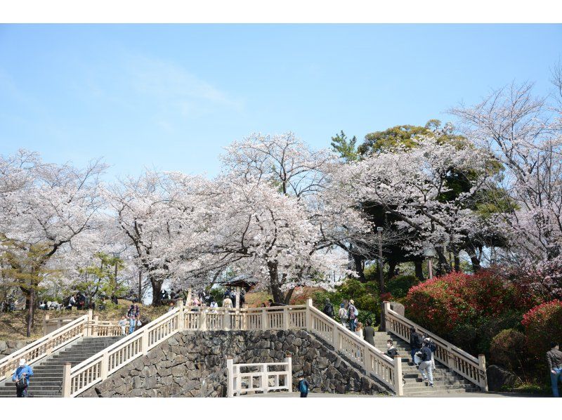 [Tokyo, Oji] Experience sake tasting at a historic sake brewery that is an important cultural property, enjoy cherry blossom viewing in a premium seat, and enjoy a cherry blossom viewing lunch!の紹介画像