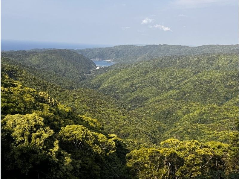 【鹿児島・奄美】北部〜名瀬エリア送迎可能！ “1組貸切” おひとりご参加OK、女性ガイドが案内する ＜1日＞ネイチャーヒーリングツアーの紹介画像