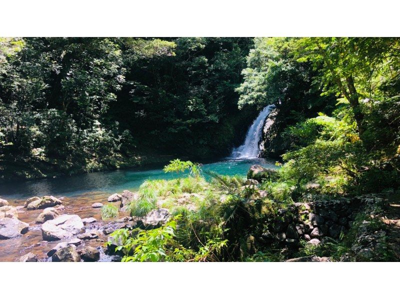 【鹿児島・奄美】北部〜名瀬エリア送迎可能！ “1組貸切” おひとりご参加OK、女性ガイドが案内する ＜1日＞ネイチャーヒーリングツアーの紹介画像