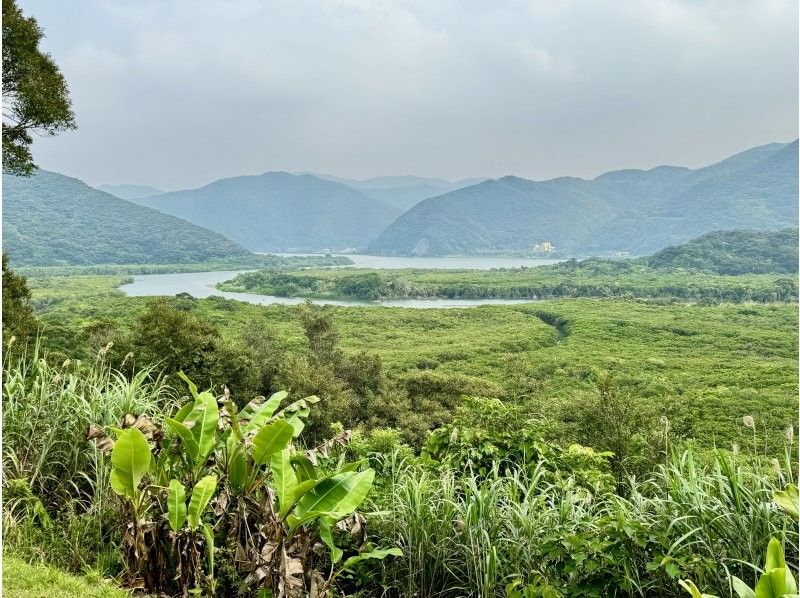 【鹿児島・奄美】北部〜名瀬エリア送迎可能！ “1組貸切” おひとりご参加OK、女性ガイドが案内する ＜1日＞ネイチャーヒーリングツアーの紹介画像