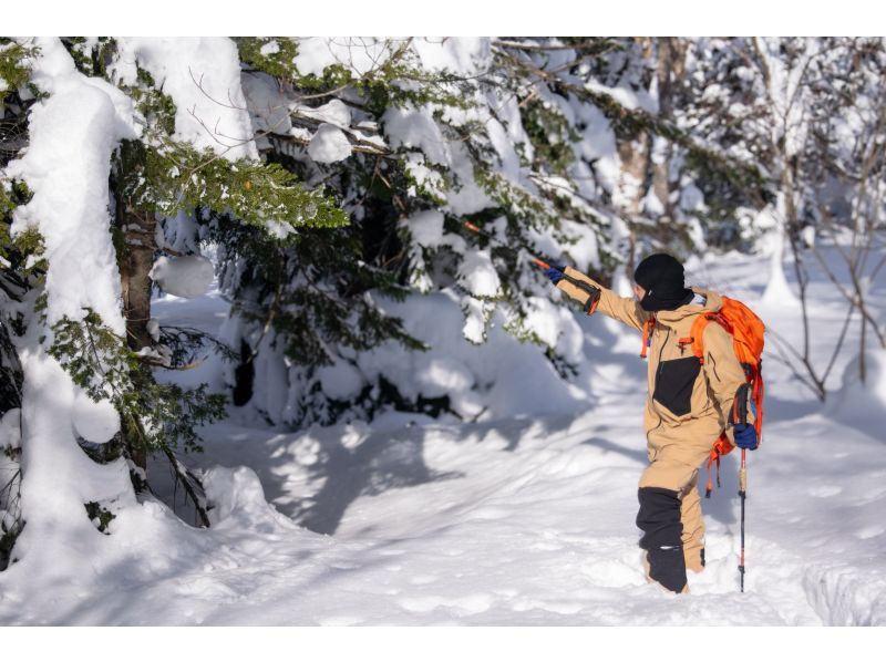 【北海道・富良野】初心者歓迎！スノーシューでしか行けない大雪山の秘境体験＆温泉の癒しの紹介画像