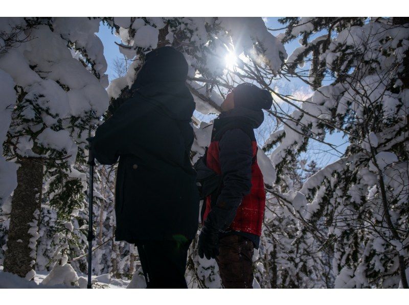 【北海道・富良野】初心者歓迎！スノーシューハイキングツアー！大雪山の秘境体験＆温泉の癒しの紹介画像