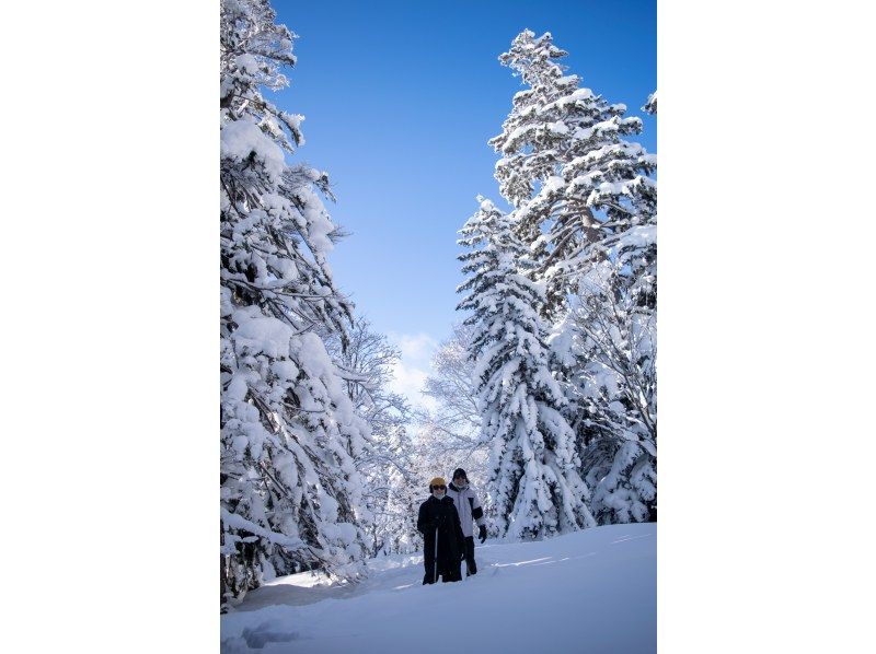 【北海道，富良野】欢迎初学者！雪鞋徒步之旅！体验大雪山的隐秘美景，并在温泉中放松身心。の紹介画像