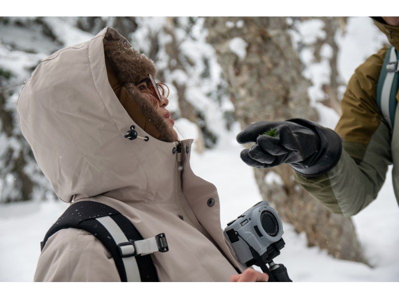 【北海道・富良野】初心者歓迎！スノーシューハイキングツアー！大雪山の秘境体験＆温泉の癒しの紹介画像
