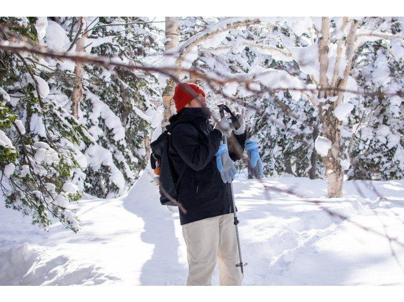 【北海道・富良野】初心者歓迎！スノーシューハイキングツアー！大雪山の秘境体験＆温泉の癒しの紹介画像