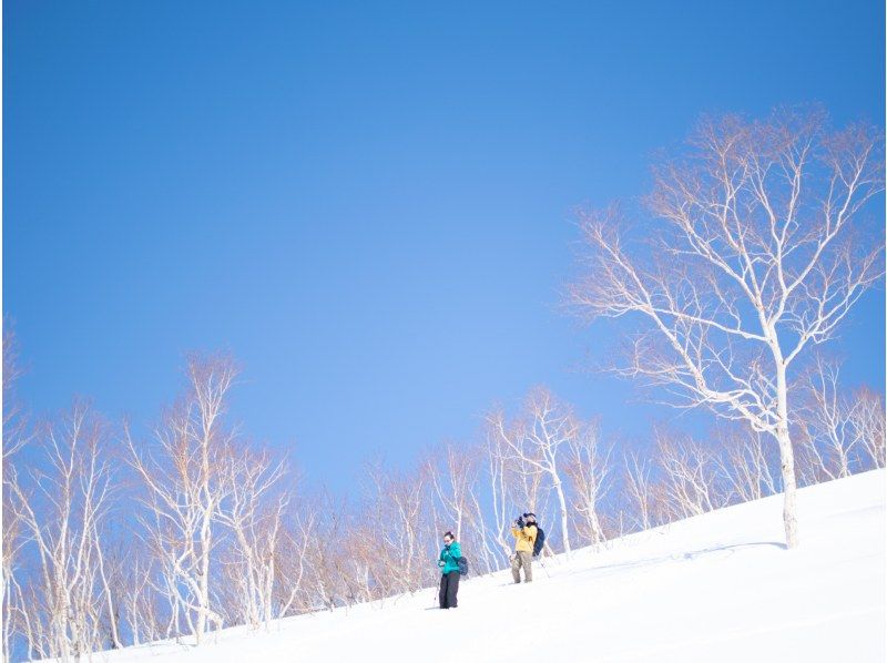 【北海道・富良野】初心者歓迎！スノーシューハイキングツアー！大雪山の秘境体験＆温泉の癒しの紹介画像