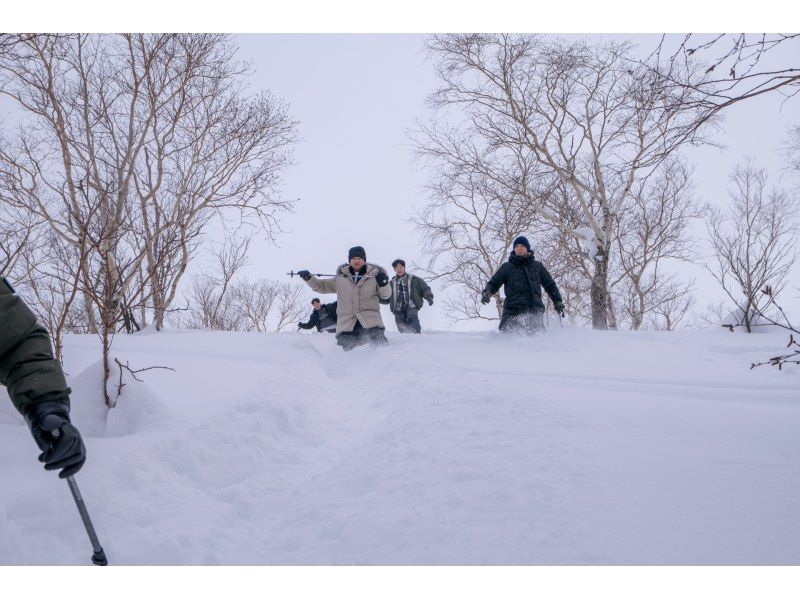 【北海道・富良野】初心者歓迎！スノーシューハイキングツアー！大雪山の秘境体験＆温泉の癒しの紹介画像