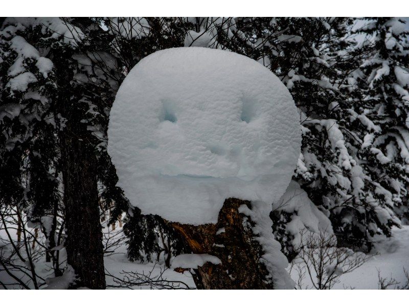 【北海道・富良野】初心者歓迎！スノーシューハイキングツアー！大雪山の秘境体験＆温泉の癒しの紹介画像