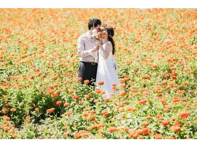 [Hokkaido, Furano] 2 location wedding photo planの紹介画像