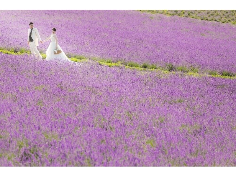 【北海道・富良野/美瑛】2ロケーションウェディングフォトプランの紹介画像