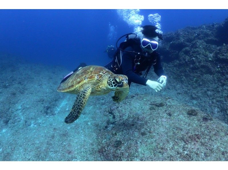 【沖縄・宮古島】地形を潜るFUNダイビング1日ツアー（2DIVE）カメラ・ライト・コンピューター無料レンタル！の紹介画像