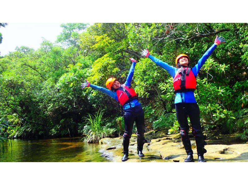 【西表島】亜熱帯の島体験「１日森林浴ツアー」通年。初心者歓迎。ゆったりまったり！グループ割・昼食付・竹富島や石垣島からの日帰りOK（6時間）の紹介画像