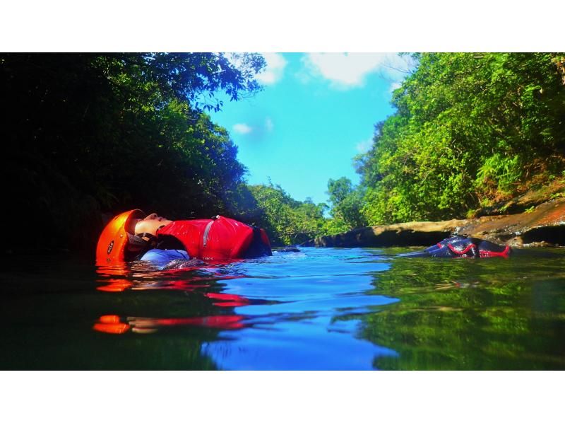 【西表島】亜熱帯の島体験「１日森林浴ツアー」通年。初心者歓迎。ゆったりまったり！グループ割・昼食付・竹富島や石垣島からの日帰りOK（6時間）の紹介画像