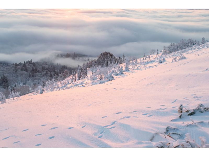 [Okhotsk, Bihoro Town] Head to the most spectacular view from the sky in eastern Hokkaido! Bihoro Pass Winter Mountain Summit Tour (half-day tour with a local guide)の紹介画像