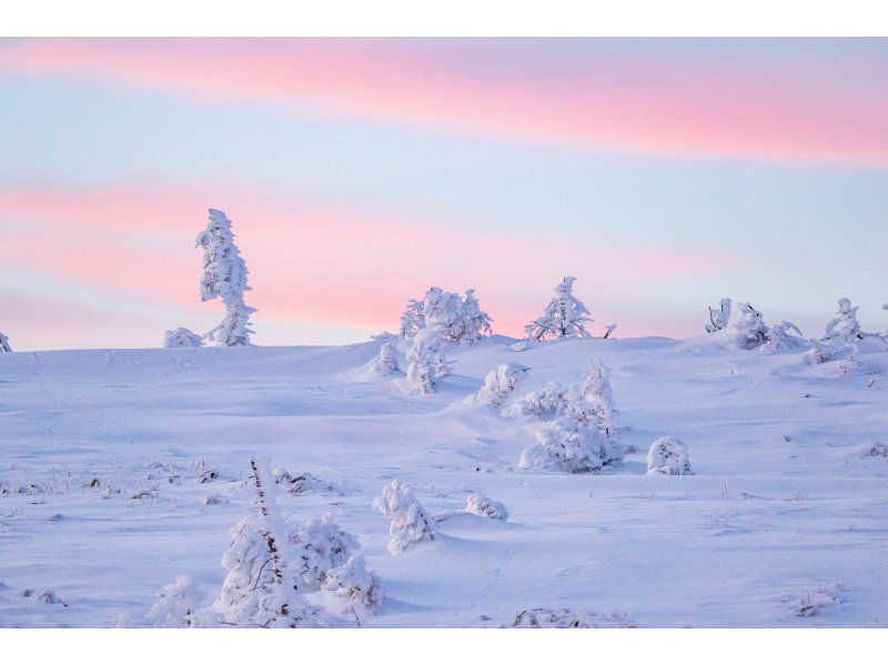 [Okhotsk, Bihoro Town] Head to the most spectacular view from the sky in eastern Hokkaido! Bihoro Pass Winter Mountain Summit Tour (half-day tour with a local guide)の紹介画像