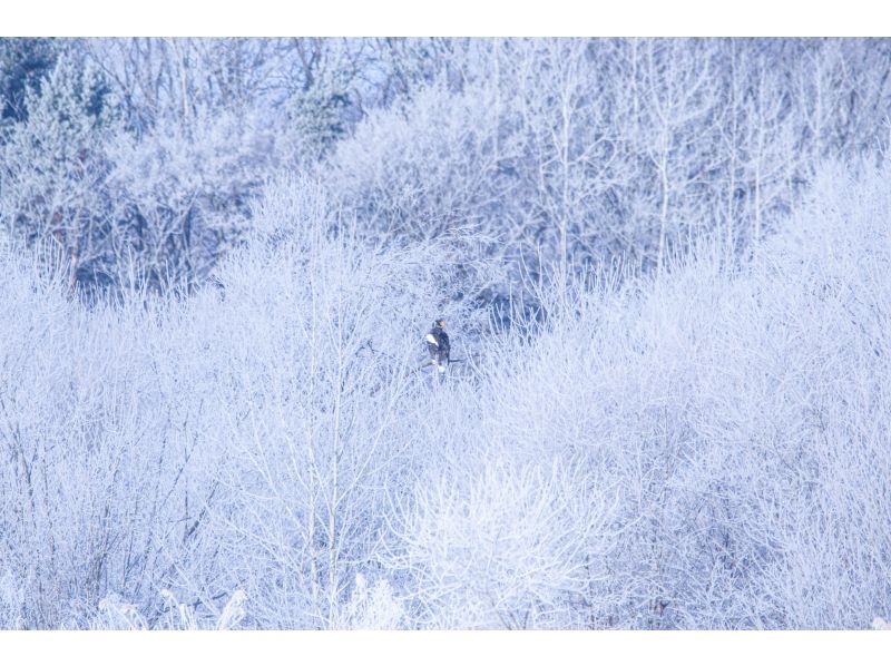 [Okhotsk, Bihoro Town] Head to the most spectacular view from the sky in eastern Hokkaido! Bihoro Pass Winter Mountain Summit Tour (half-day tour with a local guide)の紹介画像