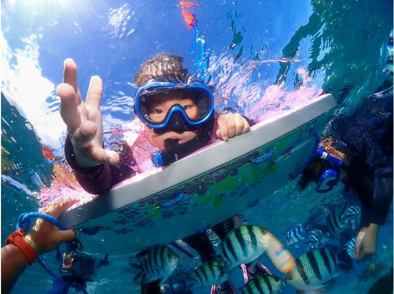 [Okinawa, Onna Village] Clownfish Paradise Snorkeling ♪ Let's go see Nemo in the coral village (Easy boat transportation / Guide is fully reserved so beginners can feel safe)の紹介画像