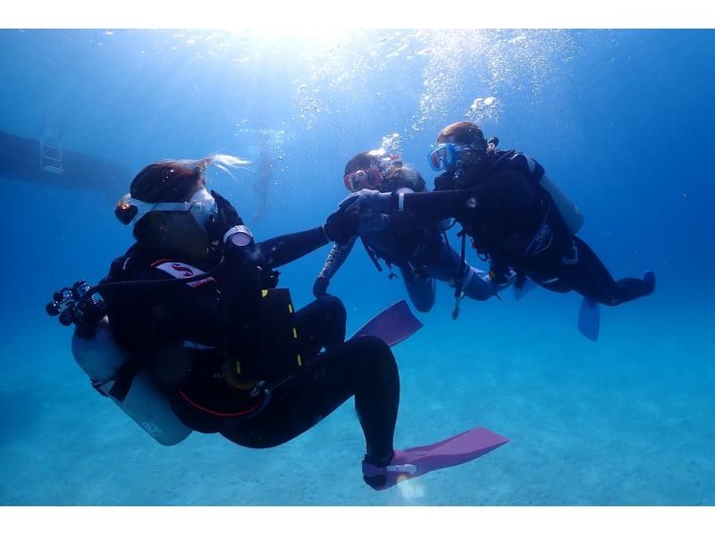 [Okinawa, Northern] Beginners are also welcome! Coral Reef Churaumi Boat Experience Diving Half-day 2 dives Great video shooting planの紹介画像