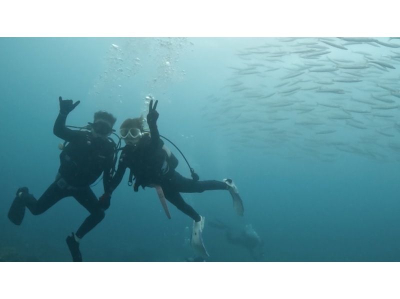 [Okinawa, Northern] Beginners are also welcome! Coral Reef Churaumi Boat Experience Diving Half-day 2 dives Great video shooting planの紹介画像