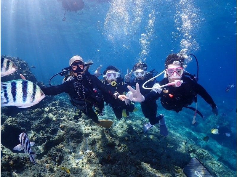 [Okinawa, Northern] Beginners are also welcome! Coral Reef Churaumi Boat Experience Diving Half-day 2 dives Great video shooting planの紹介画像