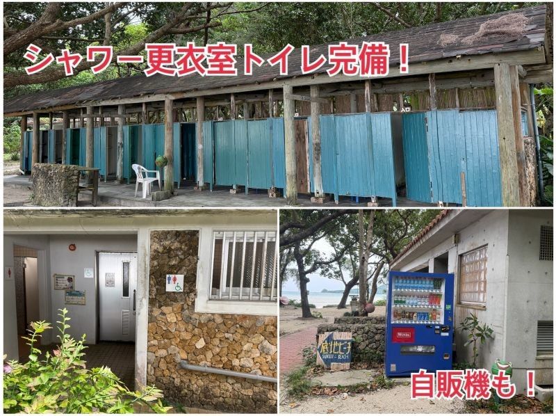 ウミガメ撮影できないと全額返金有【青の洞窟シュノーケル＆川平湾ドローン＆癒しの滝】当日OK！防寒スーツ・ゴープロ・シャワー完備、少人数制！の紹介画像