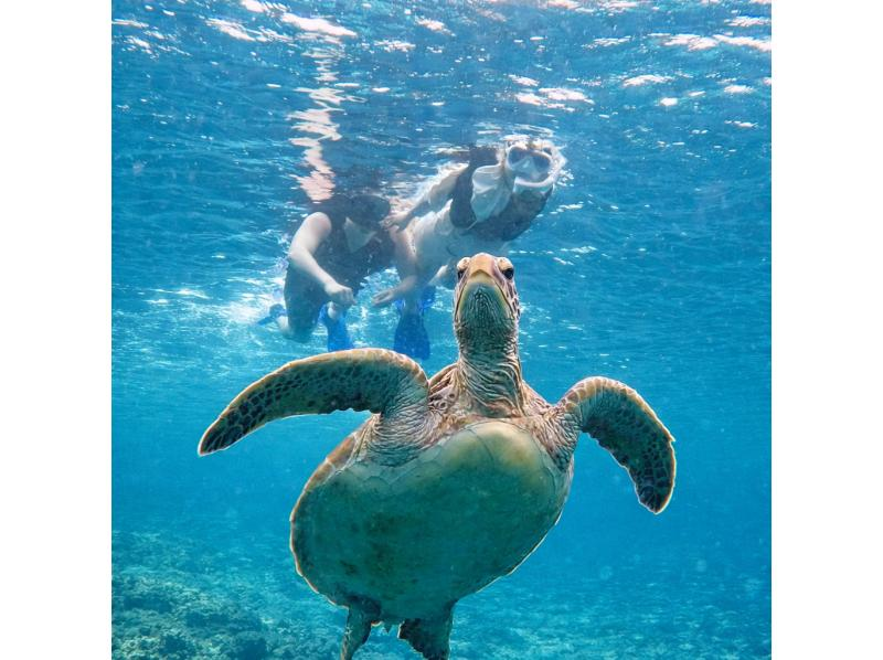 ウミガメ撮影できないと全額返金有【青の洞窟シュノーケル＆川平湾ドローン＆癒しの滝】当日OK！防寒スーツ・ゴープロ・シャワー完備・少人数制の紹介画像