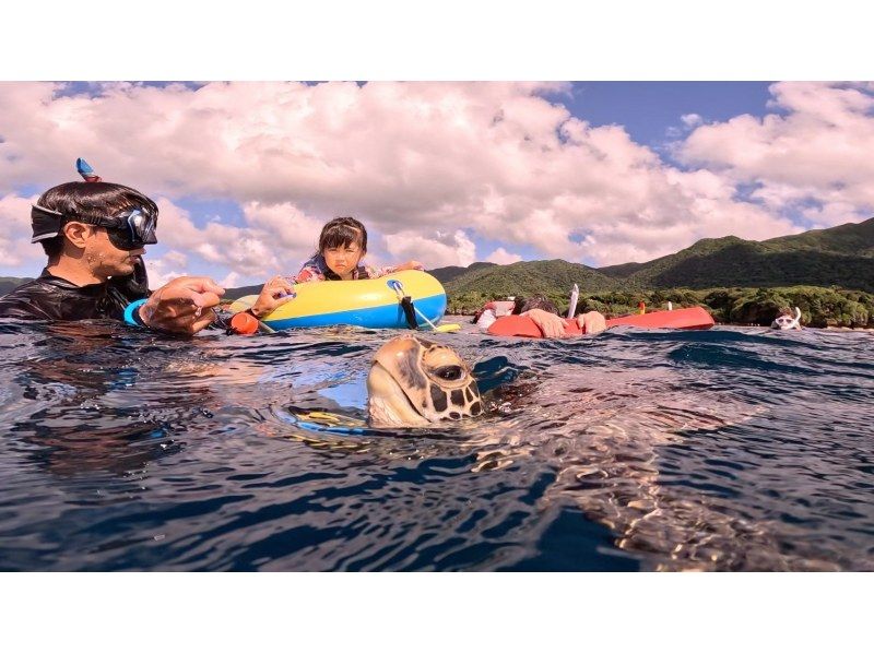 ★ウミガメ保証あり【石垣島/当日予約OK】大人気ウミガメ大捜索シュノーケル！お子様からご年配の方までしっかりサポート/撮影データ無料約2時間の紹介画像