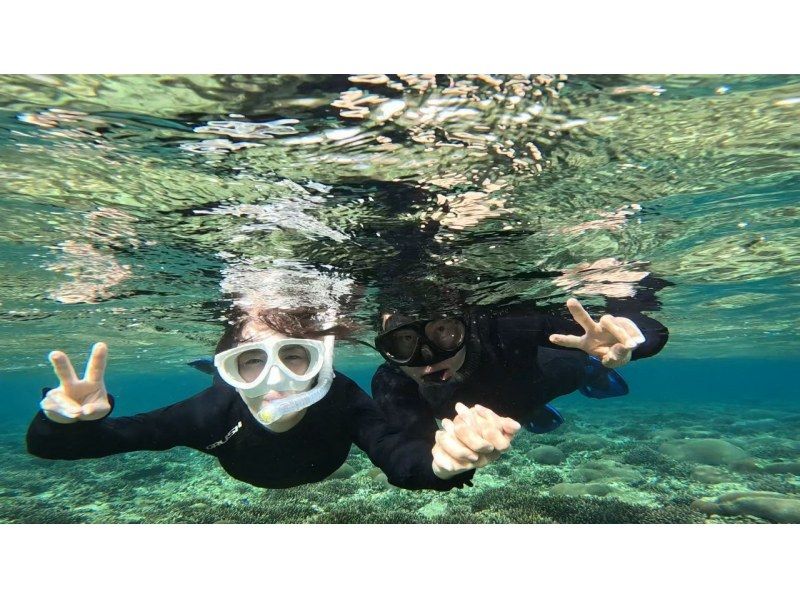 ★ウミガメ保証あり【石垣島/当日予約OK】大人気ウミガメ大捜索シュノーケル！お子様からご年配の方までしっかりサポート/撮影データ無料約2時間の紹介画像