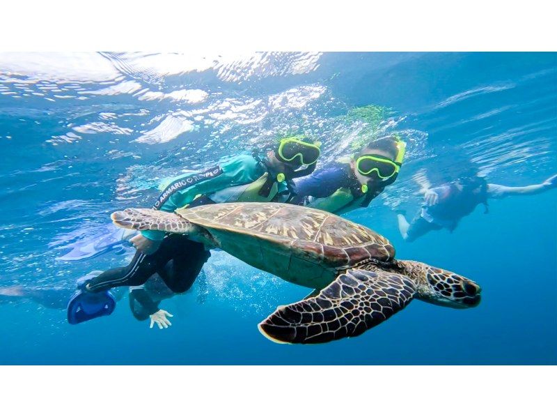 ★ウミガメ保証あり【石垣島/当日予約OK】大人気ウミガメ大捜索シュノーケル！お子様からご年配の方までしっかりサポート/撮影データ無料約2時間の紹介画像