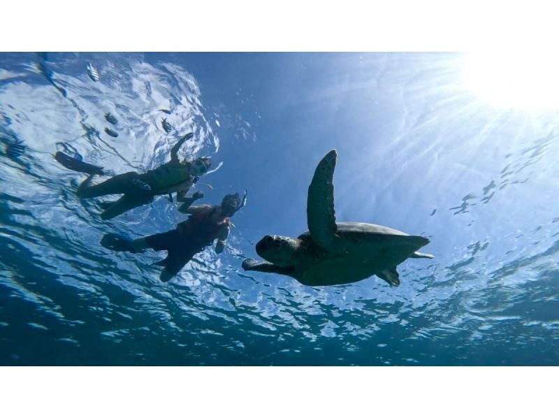 ★ウミガメ保証あり【石垣島/当日予約OK】大人気ウミガメ大捜索シュノーケル！お子様からご年配の方までしっかりサポート/撮影データ無料約2時間の紹介画像