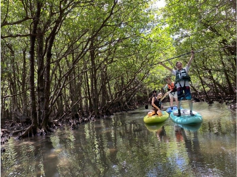 [Okinawa, Ishigaki City North] 60 minutes free time mangrove canoe experience short courseの紹介画像