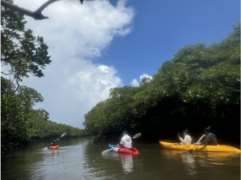 【国立公園】【カヌーで行く】島人の経験豊ガイドが楽しく案内 写真/おやつ付マリンアクティビティーツアー　トイレ シャワー 無料駐車場！！の紹介画像