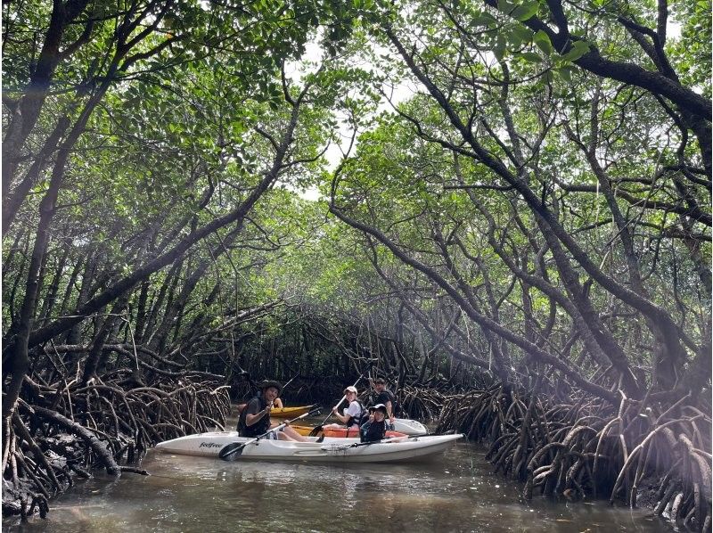 【国立公園】【カヌーで行く】島人の経験豊ガイドが楽しく案内 写真/おやつ付マリンアクティビティーツアー　トイレ シャワー 無料駐車場！！の紹介画像