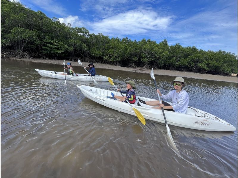 [Okinawa, Ishigaki City North] 60 minutes free time mangrove canoe experience short courseの紹介画像