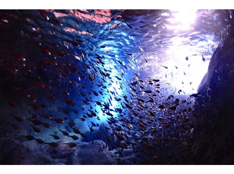 【沖縄・宮古島】地形を潜るFUNダイビング3DIVE｜1日コース｜カメラ・ライト・コンピューターレンタル無料！の紹介画像