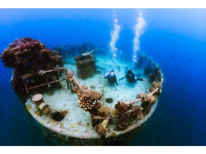 【沖縄・宮古島】地形を潜るFUNダイビング3DIVE｜1日コース｜カメラ・ライト・コンピューターレンタル無料！の紹介画像
