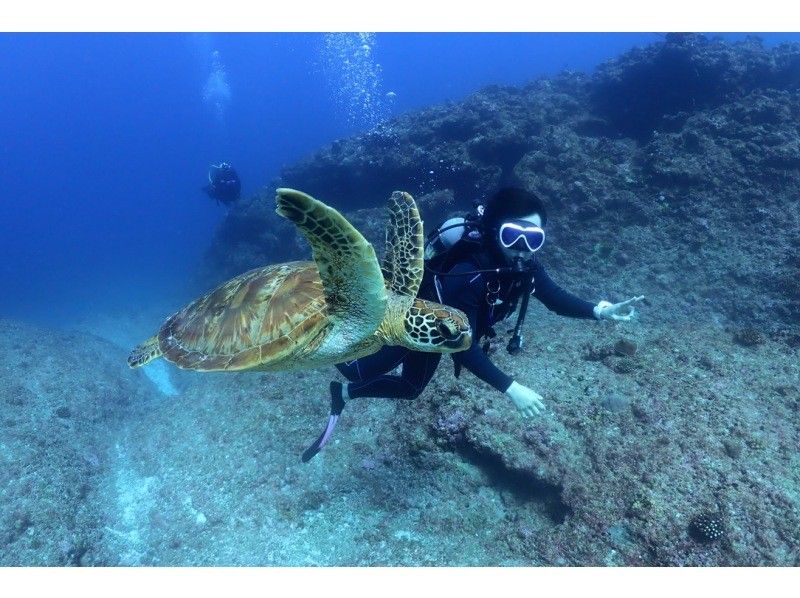 【沖縄・宮古島】地形を潜るFUNダイビング3DIVE｜1日コース｜カメラ・ライト・コンピューターレンタル無料！の紹介画像