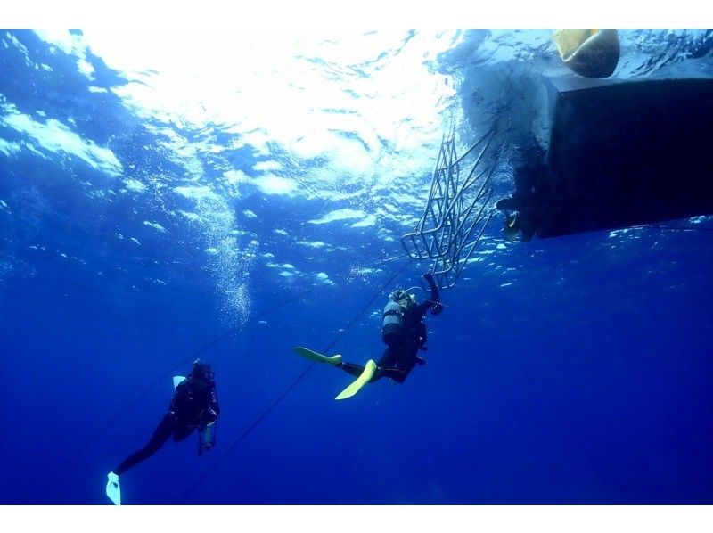 【沖縄・宮古島】地形を潜るFUNダイビング3DIVE｜1日コース｜カメラ・ライト・コンピューターレンタル無料！の紹介画像