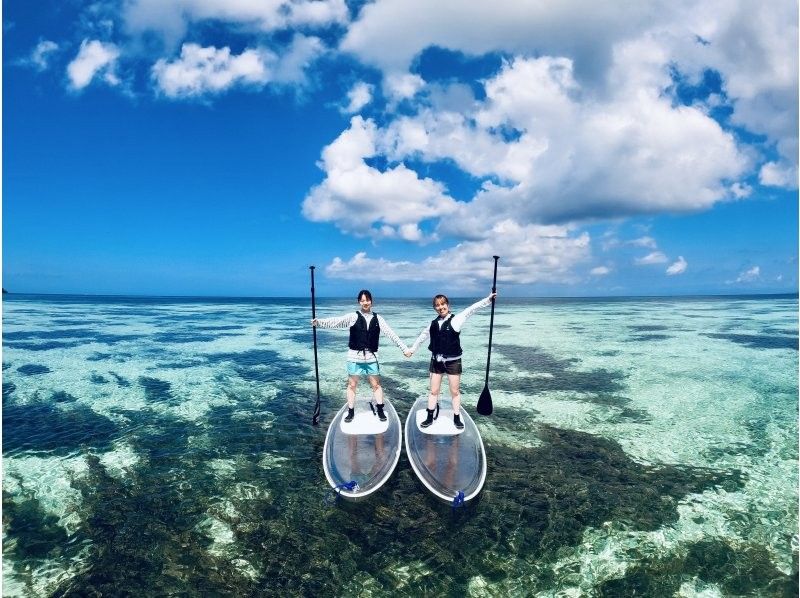 【川平クリアSUP➕青の洞窟ウミガメ遭遇率99.9%シュノーケル】➕『癒しの滝』川平湾4Kドローン＆ゴープロ撮影データ無料！少人数制！の紹介画像