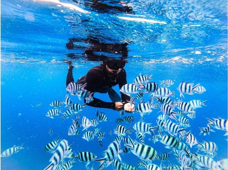 【石垣島1日】『川平クリアサップ』✖︎『青の洞窟98%遭遇ウミガメシュノーケル』✖︎『癒しの滝』✖川平湾ドローン＆一眼レフ＆ゴープロ撮影無料の紹介画像