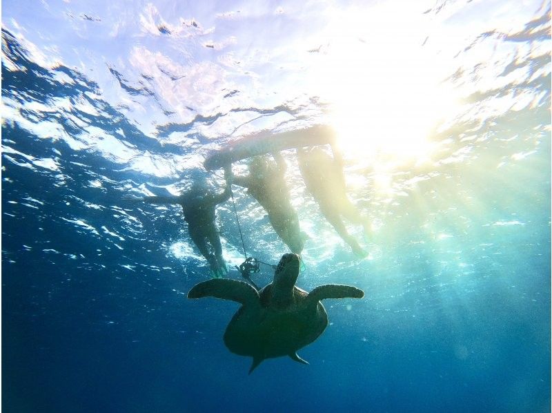 【石垣島1日】『川平クリアサップ』✖︎『青の洞窟95%遭遇ウミガメシュノーケル』✖︎『癒しの滝』✖川平湾ドローン＆一眼レフ＆ゴープロ撮影無料の紹介画像