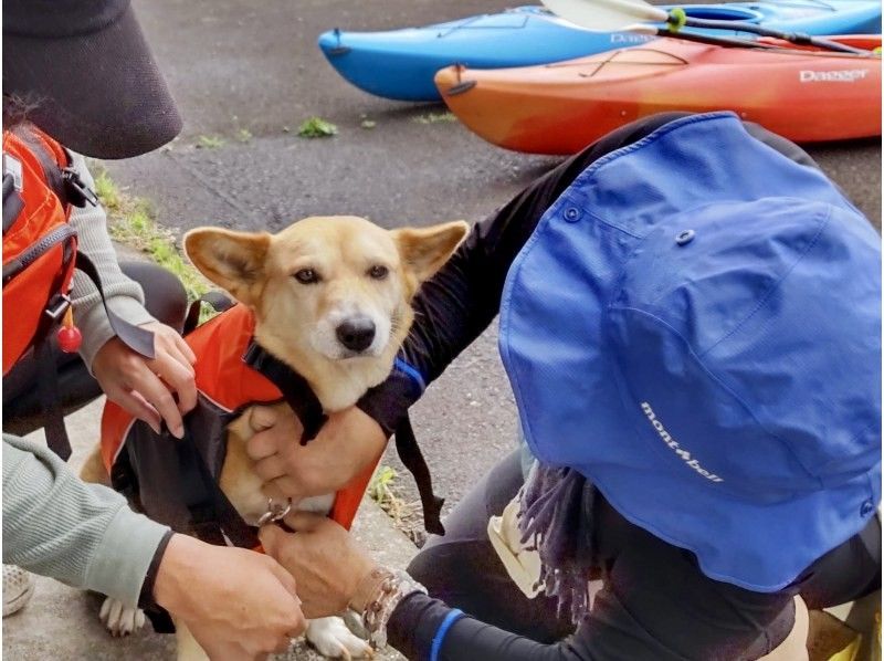 【福島・飯坂温泉】ペットと一緒プラン！水源地の美しい自然が育む高い水質のダム湖をカヤックでツーリングの紹介画像