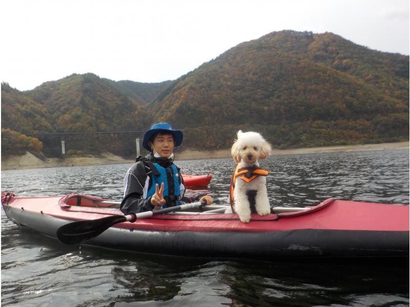 【福島・飯坂温泉】ペットと一緒プラン！水源地の美しい自然が育む高い水質のダム湖をカヤックでツーリングの紹介画像