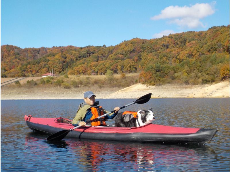 【福島・飯坂温泉】ペットと一緒プラン！水源地の美しい自然が育む高い水質のダム湖をカヤックでツーリングの紹介画像