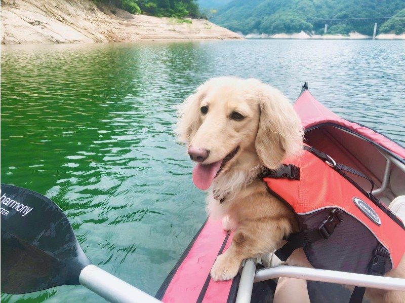 【福島・飯坂温泉】ペットと一緒プラン！水源地の美しい自然が育む高い水質のダム湖をカヤックでツーリングの紹介画像