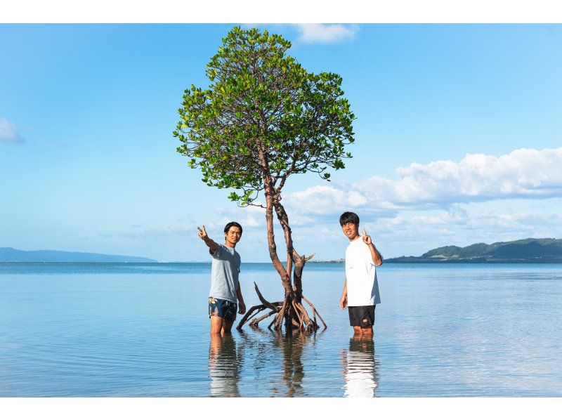 "Kabira Clear Sap or Sap" ✖︎ "One Mangrove" ✖︎ "Refreshing Waterfall!" [✨4K Free Drone & ✨SLR & ✨GO PRO Available]の紹介画像