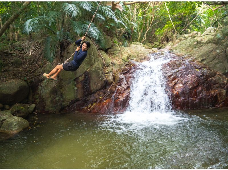 "Kabira Clear SUP หรือ SUP" ✖︎ "One Mangrove" ✖︎ "น้ำตกที่สดชื่น! 』【✨โดรน 4K ฟรี & ✨SLR & ✨GO PRO พร้อมให้บริการแล้ว】の紹介画像