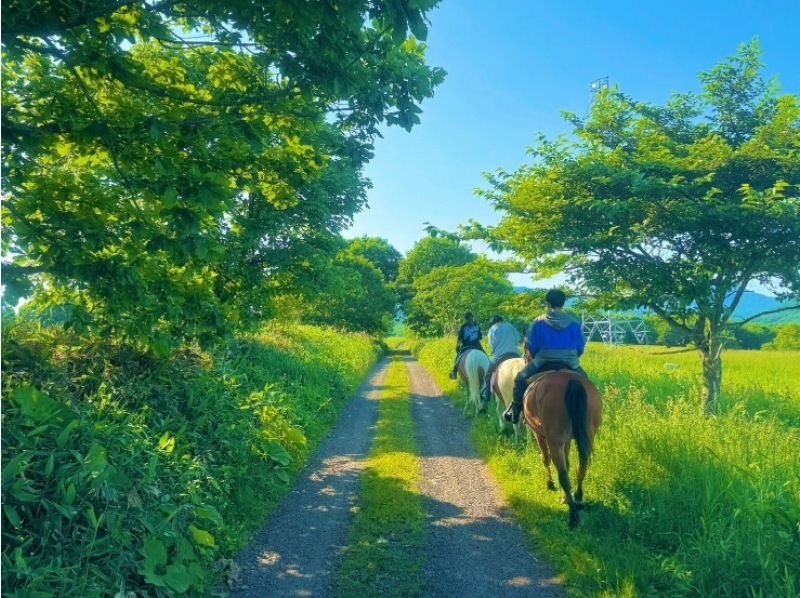 【北海道・登別】ホーストレッキング夏季外乗コース（70～90分）の紹介画像